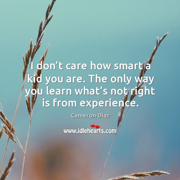 I don’t care how smart a kid you are. The only way you learn what’s not right is from experience. Cameron Diaz Picture Quote