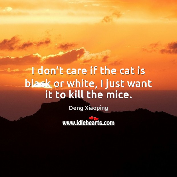 I don’t care if the cat is black or white, I just want it to kill the mice. Deng Xiaoping Picture Quote
