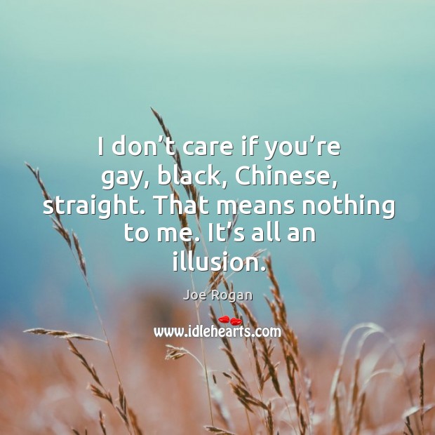 I don’t care if you’re gay, black, chinese, straight. That means nothing to me. It’s all an illusion. Joe Rogan Picture Quote
