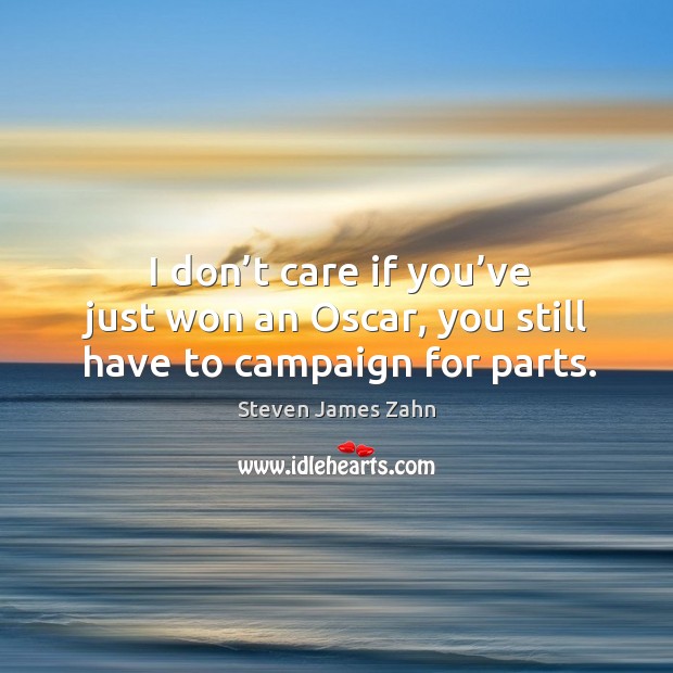 I don’t care if you’ve just won an oscar, you still have to campaign for parts. Steven James Zahn Picture Quote