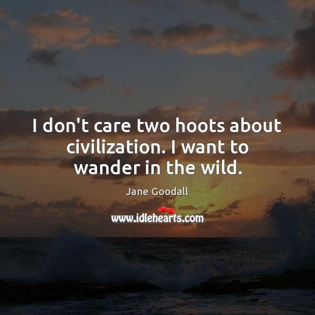 I don’t care two hoots about civilization. I want to wander in the wild. Jane Goodall Picture Quote