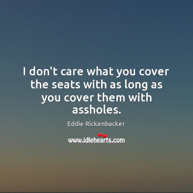 I don’t care what you cover the seats with as long as you cover them with assholes. Eddie Rickenbacker Picture Quote