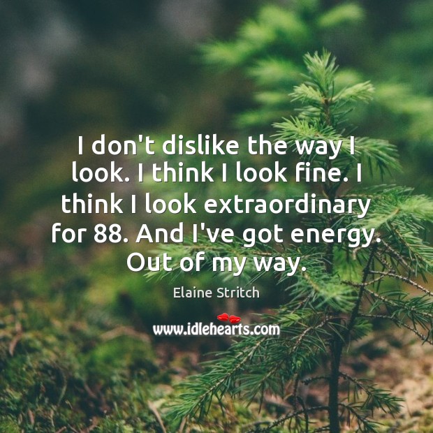 I don’t dislike the way I look. I think I look fine. Elaine Stritch Picture Quote