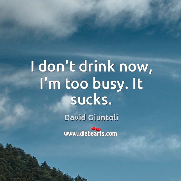 I don’t drink now, I’m too busy. It sucks. David Giuntoli Picture Quote