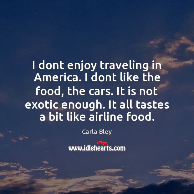 I dont enjoy traveling in America. I dont like the food, the Image