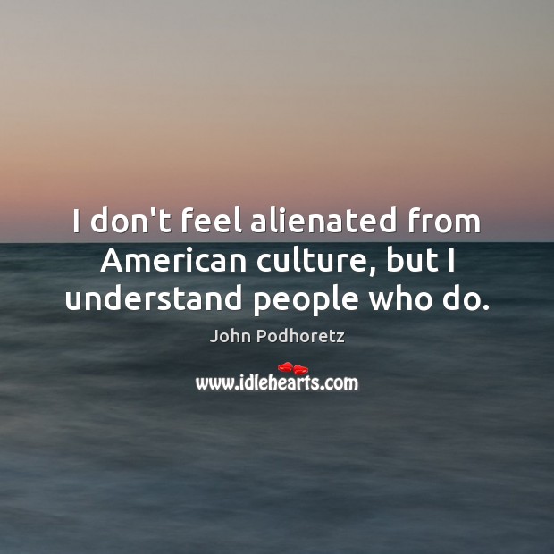 I don’t feel alienated from American culture, but I understand people who do. 
