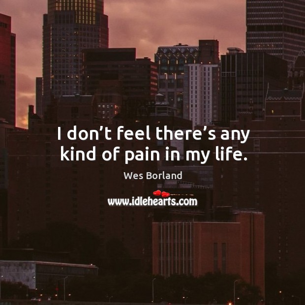 I don’t feel there’s any kind of pain in my life. Wes Borland Picture Quote