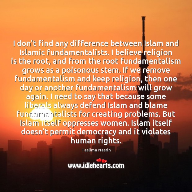 I don’t find any difference between Islam and Islamic fundamentalists. I believe Taslima Nasrin Picture Quote