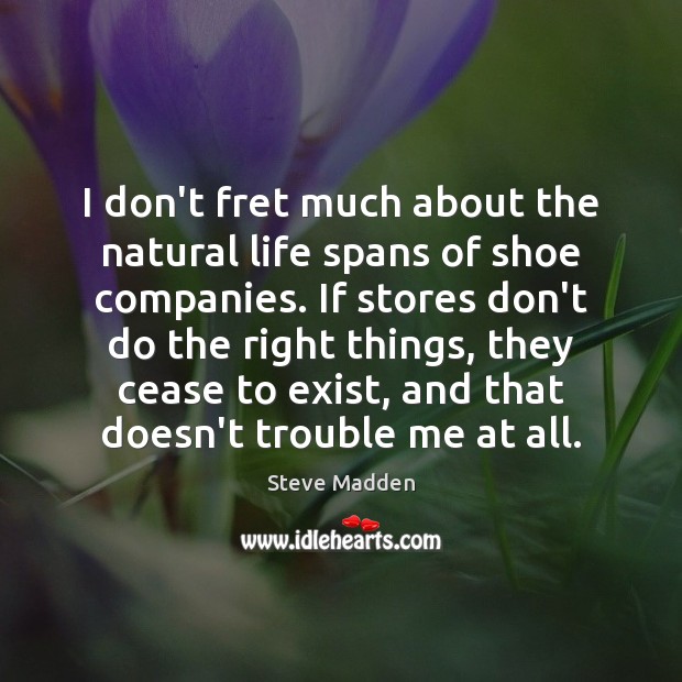 I don’t fret much about the natural life spans of shoe companies. Steve Madden Picture Quote