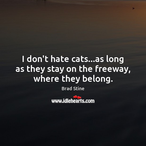I don’t hate cats…as long as they stay on the freeway, where they belong. Brad Stine Picture Quote