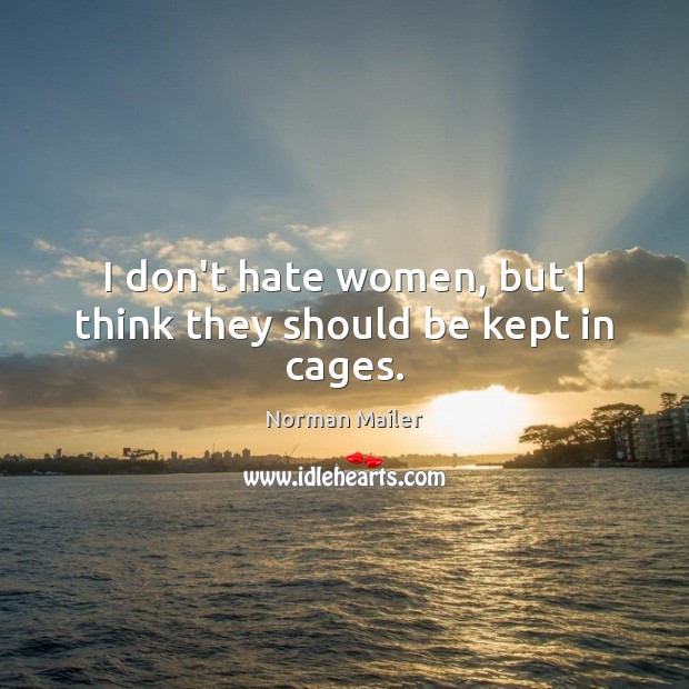I don’t hate women, but I think they should be kept in cages. Norman Mailer Picture Quote