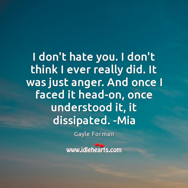 I don’t hate you. I don’t think I ever really did. It Gayle Forman Picture Quote