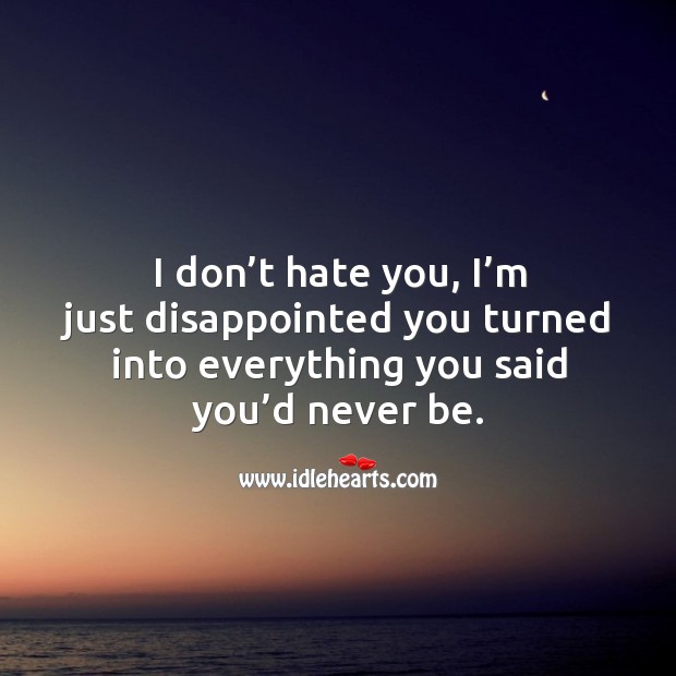 I don’t hate you, I’m just disappointed you turned into everything you said you’d never be. Image