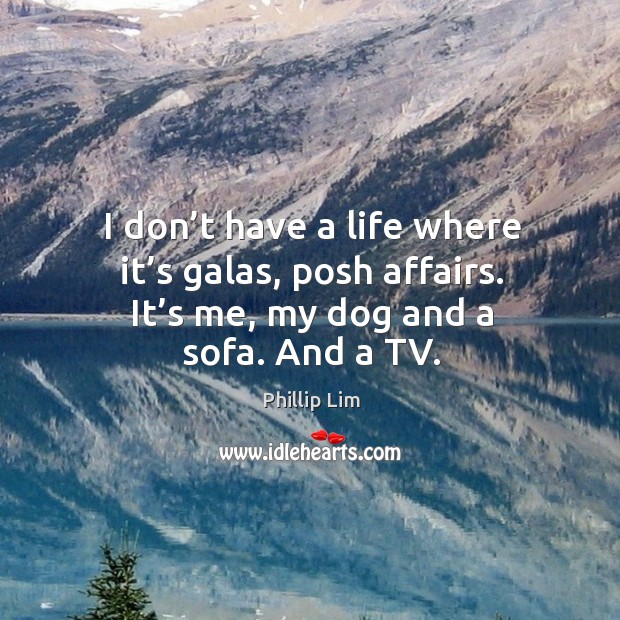 I don’t have a life where it’s galas, posh affairs. It’s me, my dog and a sofa. And a tv. Phillip Lim Picture Quote