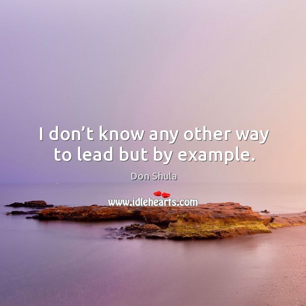 I don’t know any other way to lead but by example. Don Shula Picture Quote