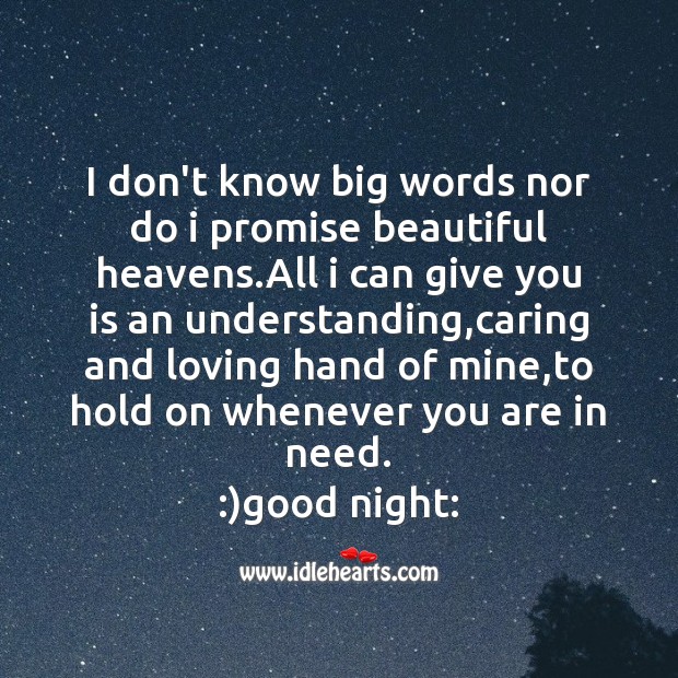I don’t know big words nor do I promise beautiful heavens. Care Quotes Image