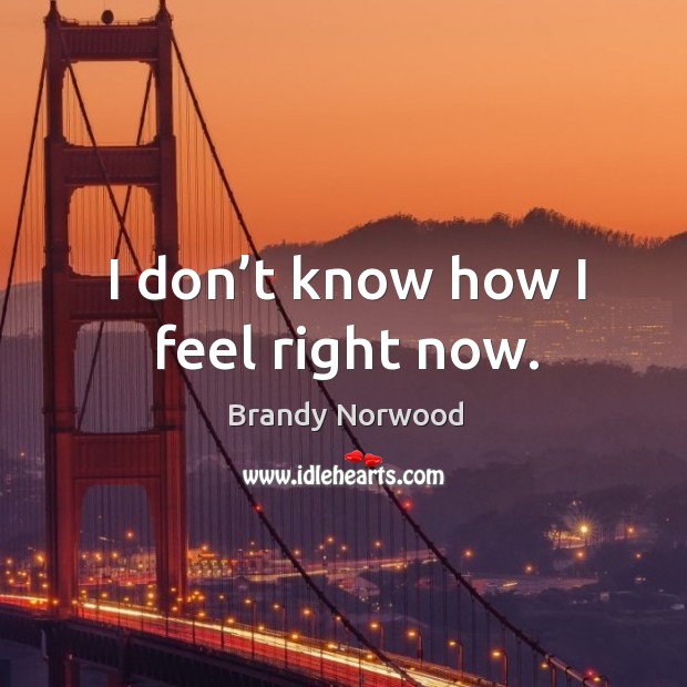 I don’t know how I feel right now. Brandy Norwood Picture Quote
