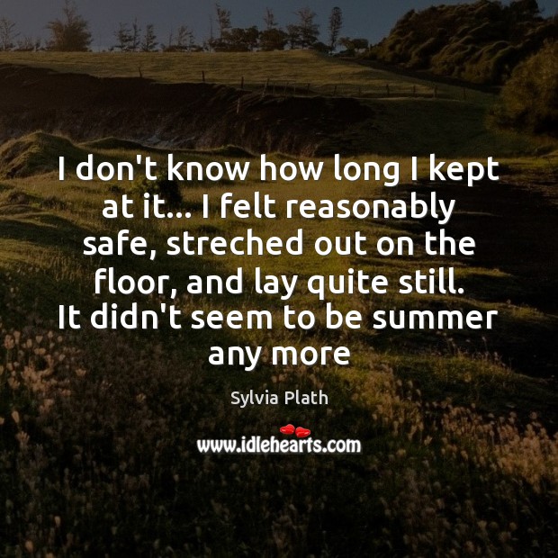 I don’t know how long I kept at it… I felt reasonably Sylvia Plath Picture Quote