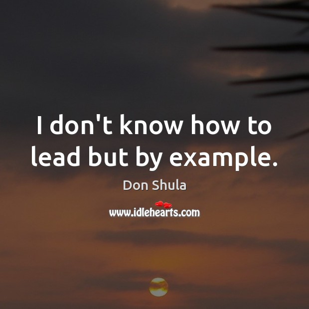 I don’t know how to lead but by example. Image