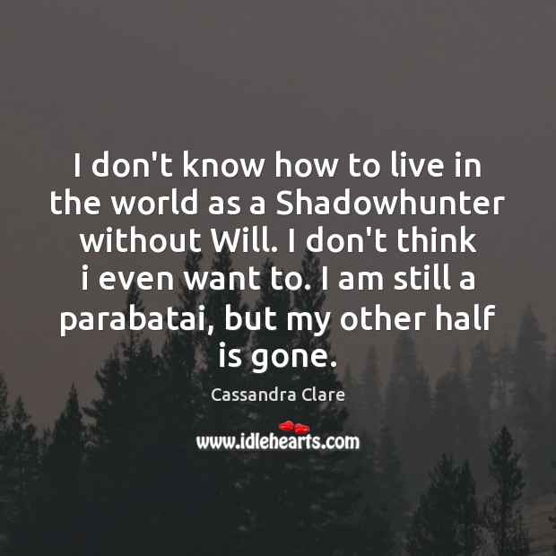 I don’t know how to live in the world as a Shadowhunter 