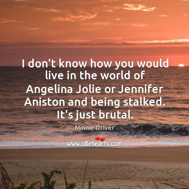 I don’t know how you would live in the world of Angelina Minnie Driver Picture Quote