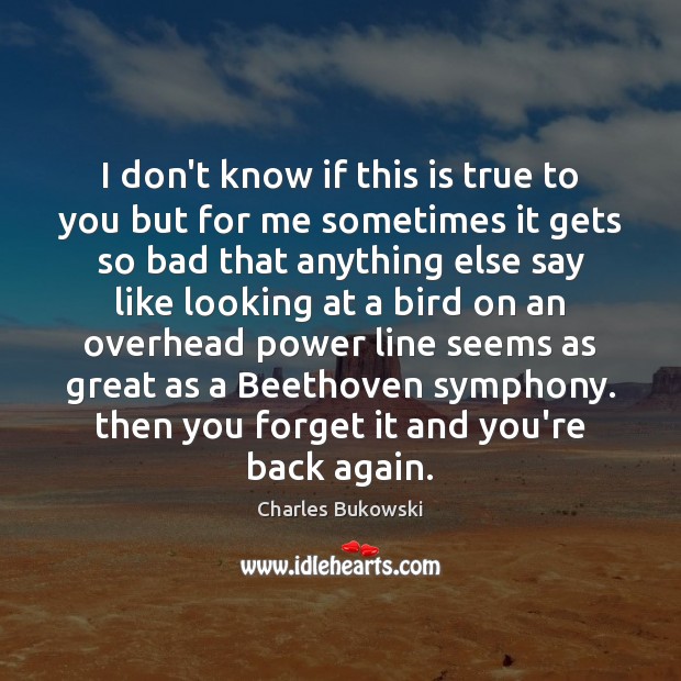 I don’t know if this is true to you but for me Charles Bukowski Picture Quote
