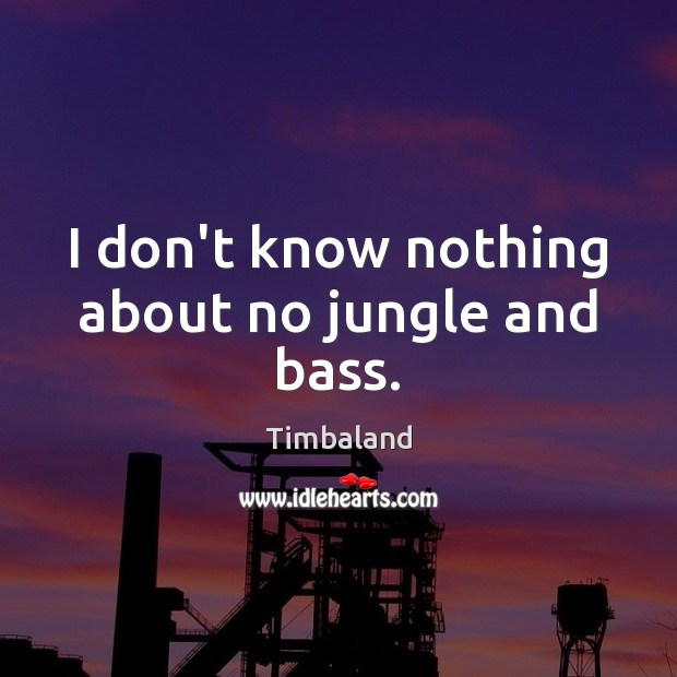 I don’t know nothing about no jungle and bass. Timbaland Picture Quote