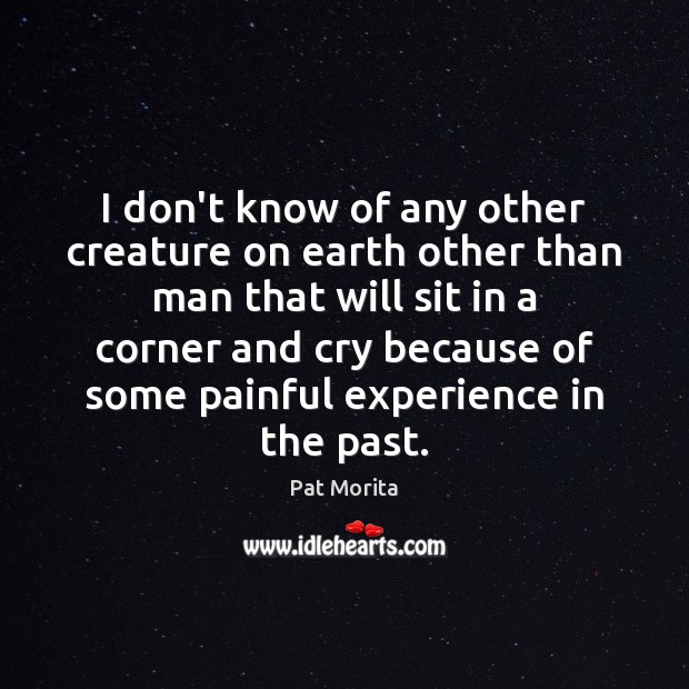 I don’t know of any other creature on earth other than man Pat Morita Picture Quote