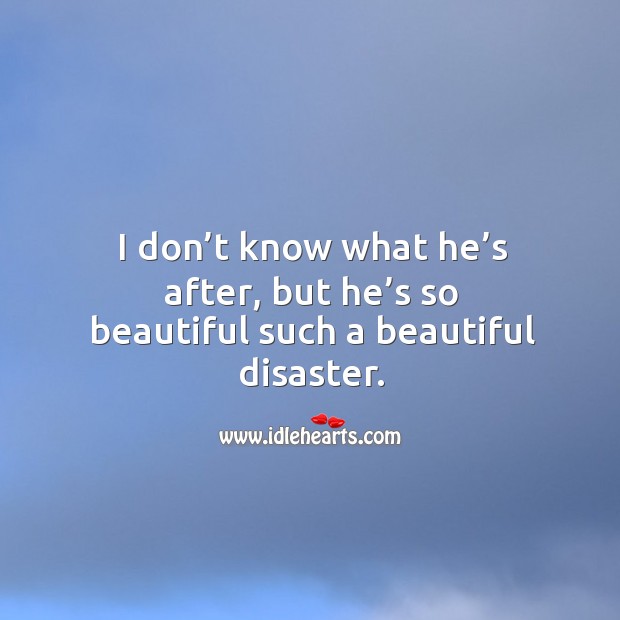 I don’t know what he’s after, but he’s so beautiful such a beautiful disaster. Image