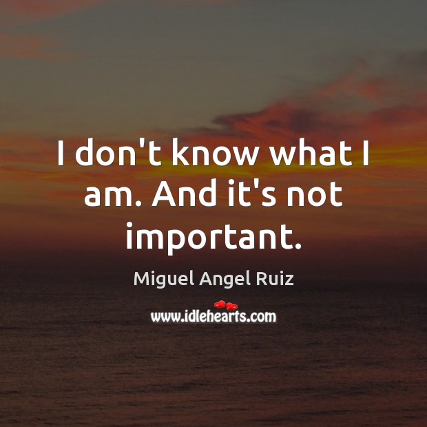 I don’t know what I am. And it’s not important. Miguel Angel Ruiz Picture Quote