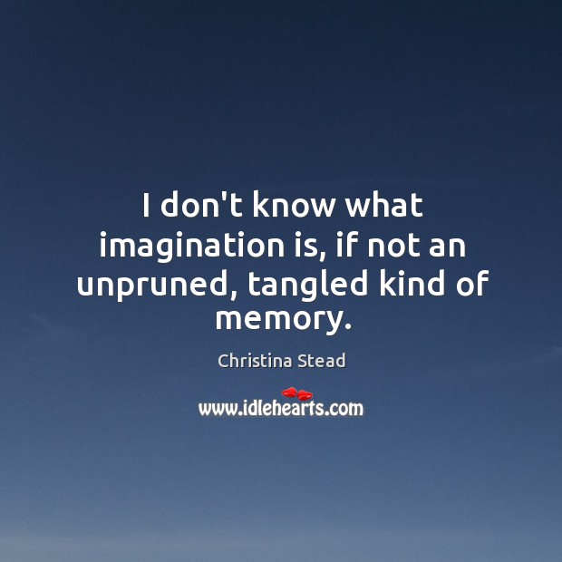 I don’t know what imagination is, if not an unpruned, tangled kind of memory. Image
