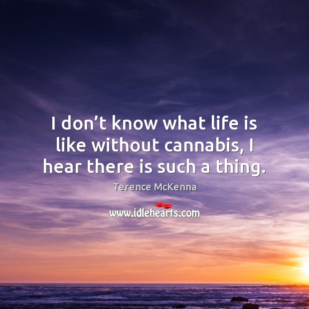 I don’t know what life is like without cannabis, I hear there is such a thing. Terence McKenna Picture Quote