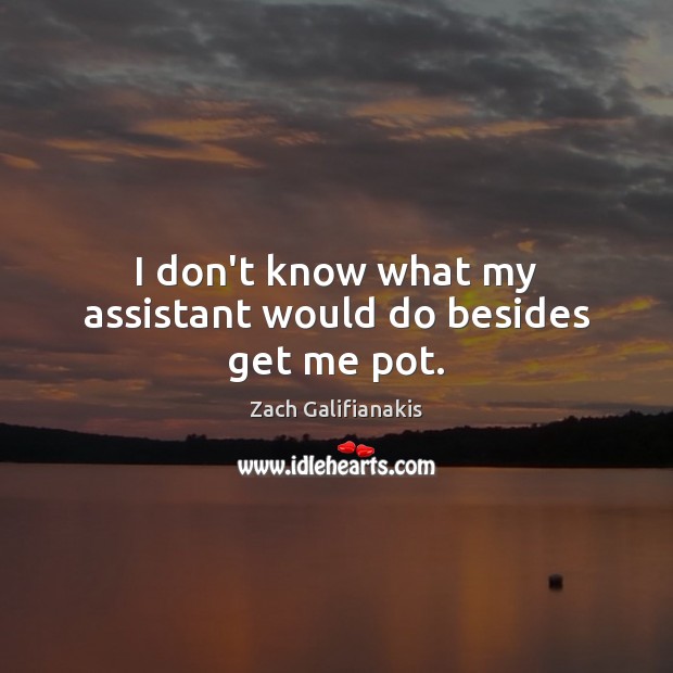 I don’t know what my assistant would do besides get me pot. Zach Galifianakis Picture Quote