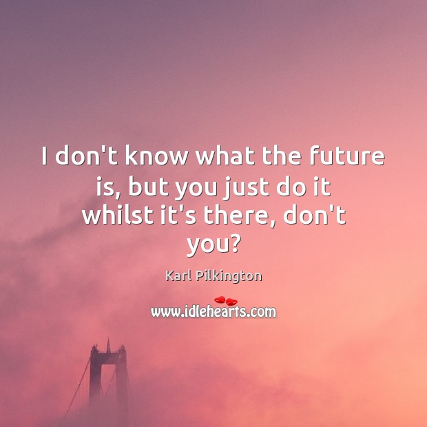 I don’t know what the future is, but you just do it whilst it’s there, don’t you? Karl Pilkington Picture Quote