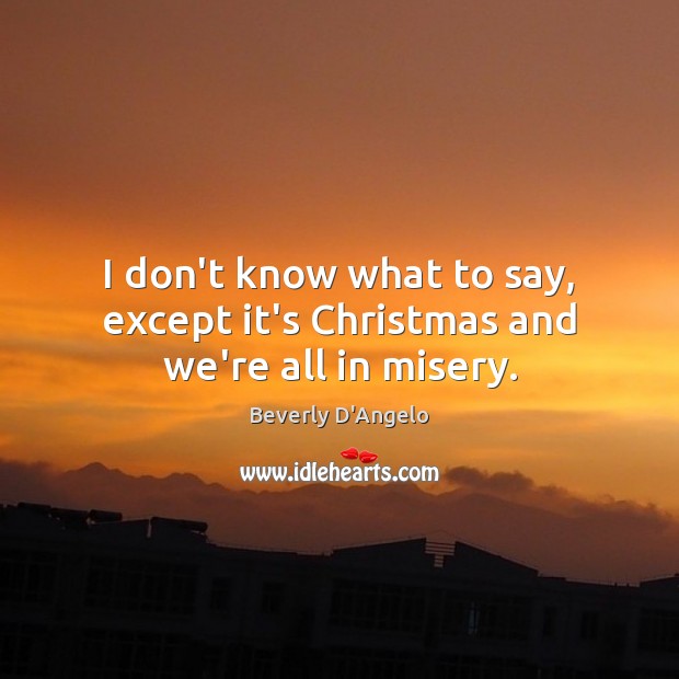 I don’t know what to say, except it’s Christmas and we’re all in misery. Beverly D’Angelo Picture Quote