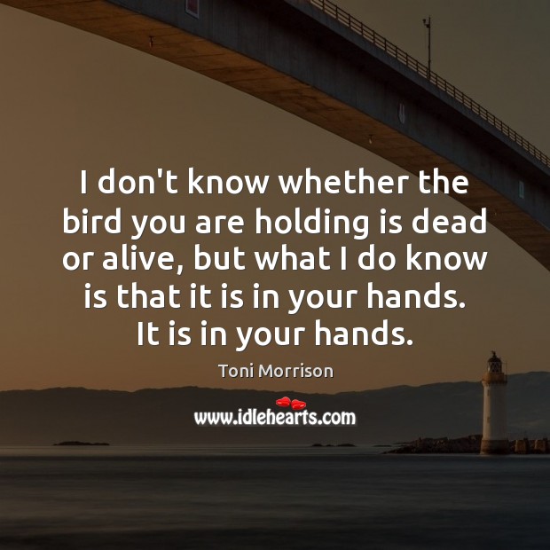 I don’t know whether the bird you are holding is dead or Toni Morrison Picture Quote