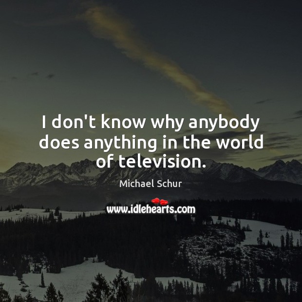 I don’t know why anybody does anything in the world of television. Michael Schur Picture Quote