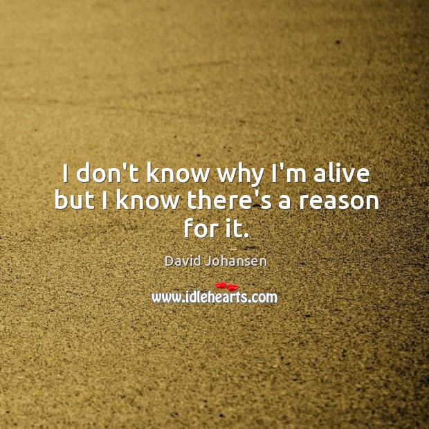 I don’t know why I’m alive but I know there’s a reason for it. David Johansen Picture Quote