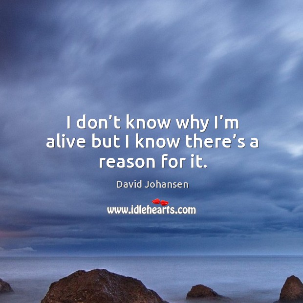 I don’t know why I’m alive but I know there’s a reason for it. David Johansen Picture Quote