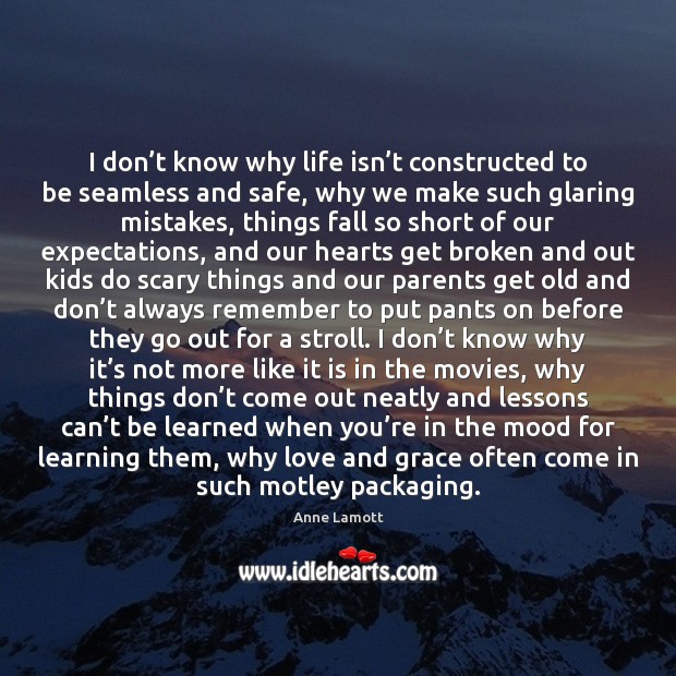 I don’t know why life isn’t constructed to be seamless Anne Lamott Picture Quote