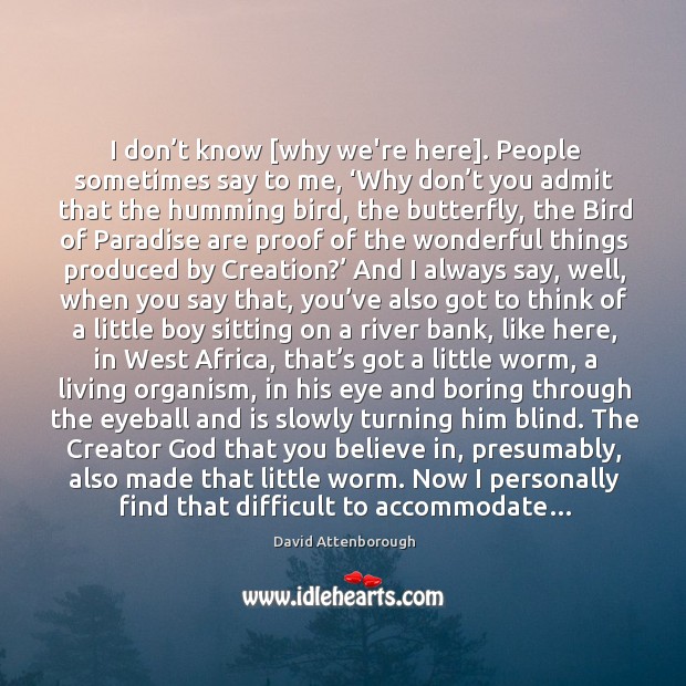 I don’t know [why we’re here]. People sometimes say to me, ‘ David Attenborough Picture Quote