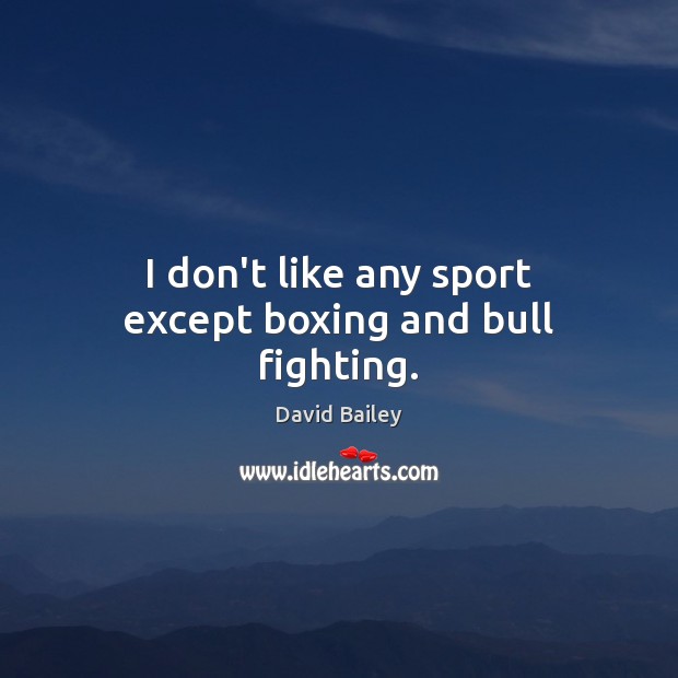 I don’t like any sport except boxing and bull fighting. David Bailey Picture Quote