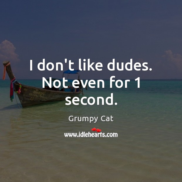 I don’t like dudes. Not even for 1 second. Grumpy Cat Picture Quote