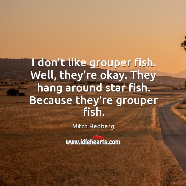 I don’t like grouper fish. Well, they’re okay. They hang around star Mitch Hedberg Picture Quote