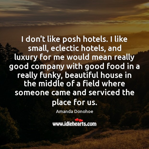 I don’t like posh hotels. I like small, eclectic hotels, and luxury Amanda Donohoe Picture Quote