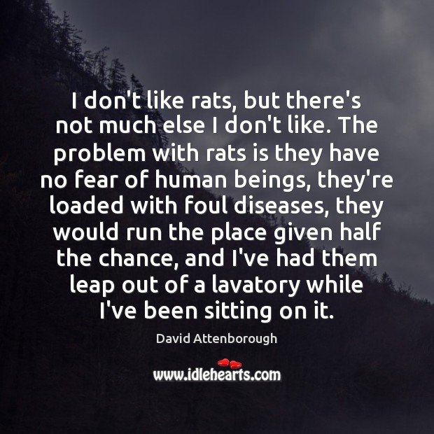 I don’t like rats, but there’s not much else I don’t like. David Attenborough Picture Quote