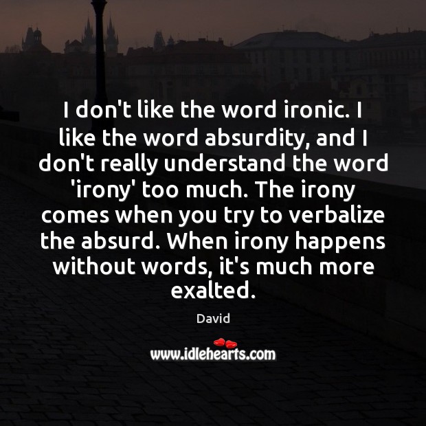 I don’t like the word ironic. I like the word absurdity, and David Picture Quote
