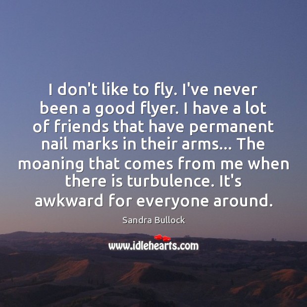 I don’t like to fly. I’ve never been a good flyer. I Sandra Bullock Picture Quote