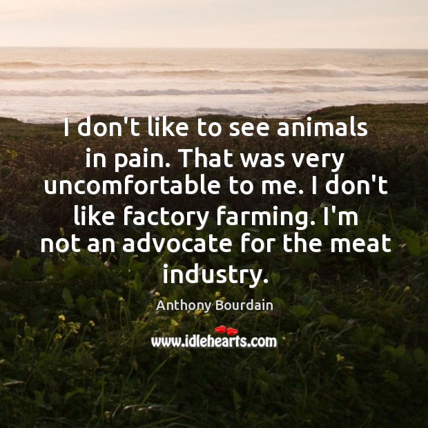 I don’t like to see animals in pain. That was very uncomfortable Anthony Bourdain Picture Quote