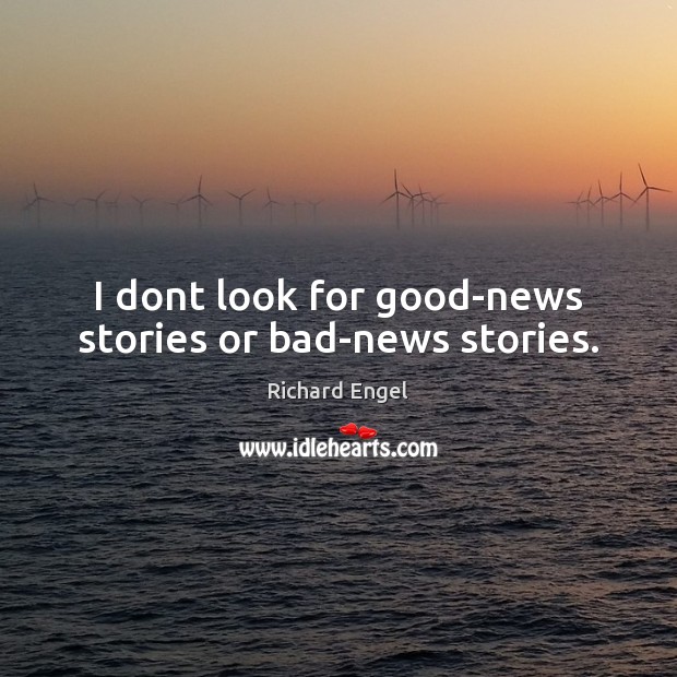 I dont look for good-news stories or bad-news stories. Richard Engel Picture Quote